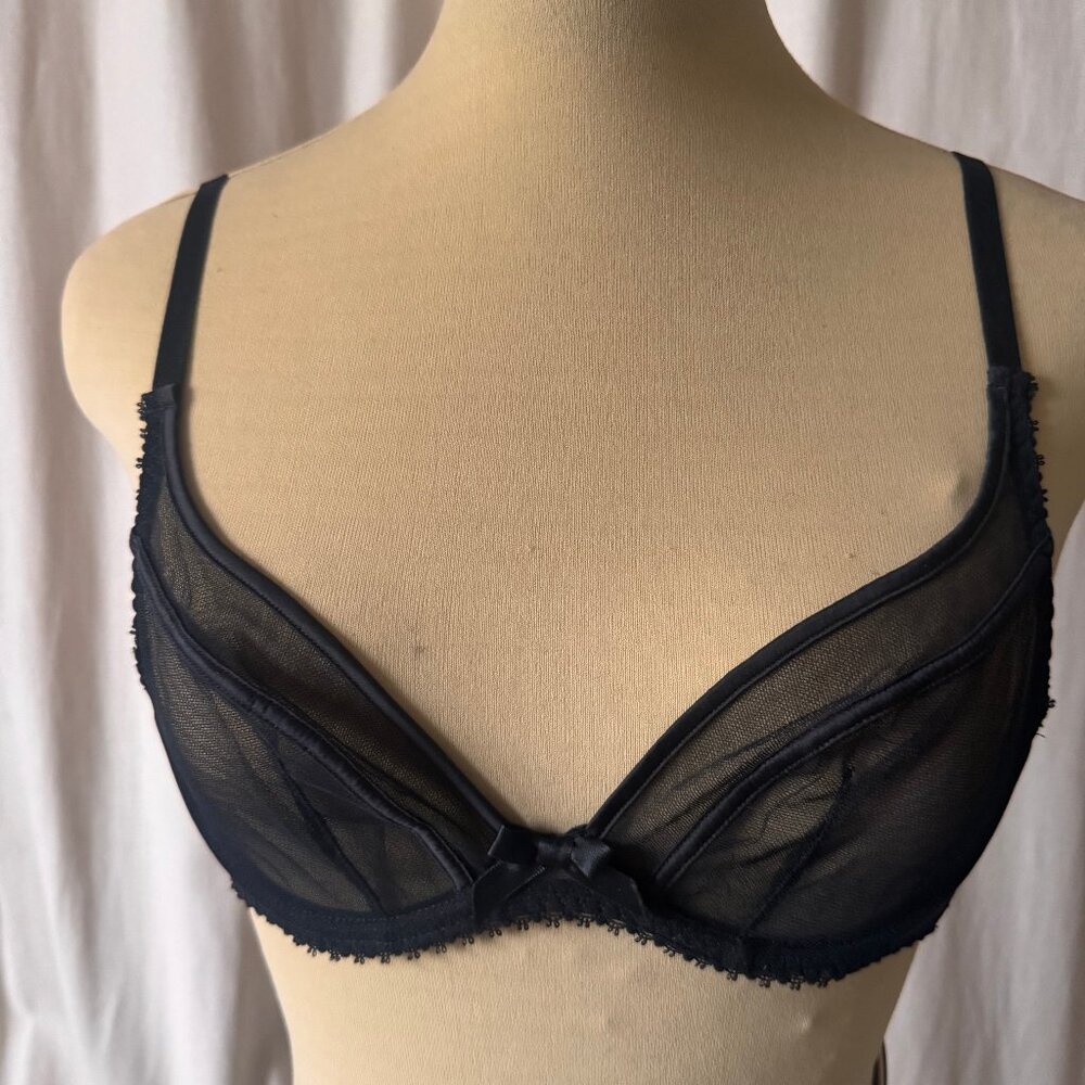 AGENT PROVOCATEUR BNWT $200 34B